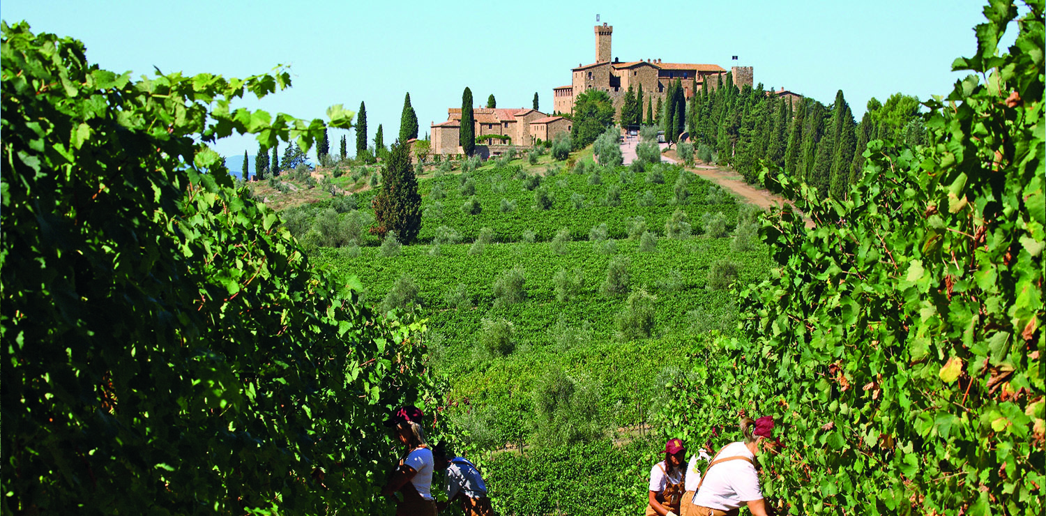 Castello Banfi