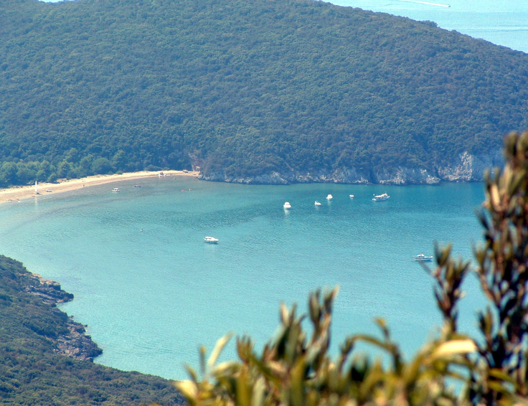 Cala di forno