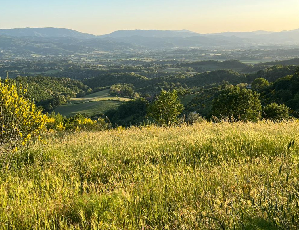 Paesaggio Toscana