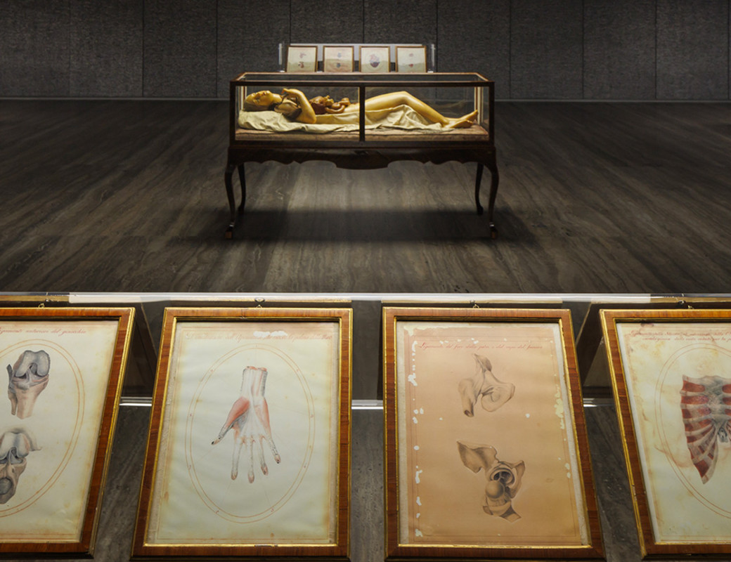 Cere anatomiche: La Specola di Firenze | David Cronenberg