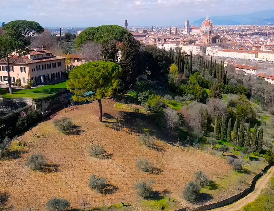 Vigna Michelangelo, la prima vigna urbana moderna a Firenze
