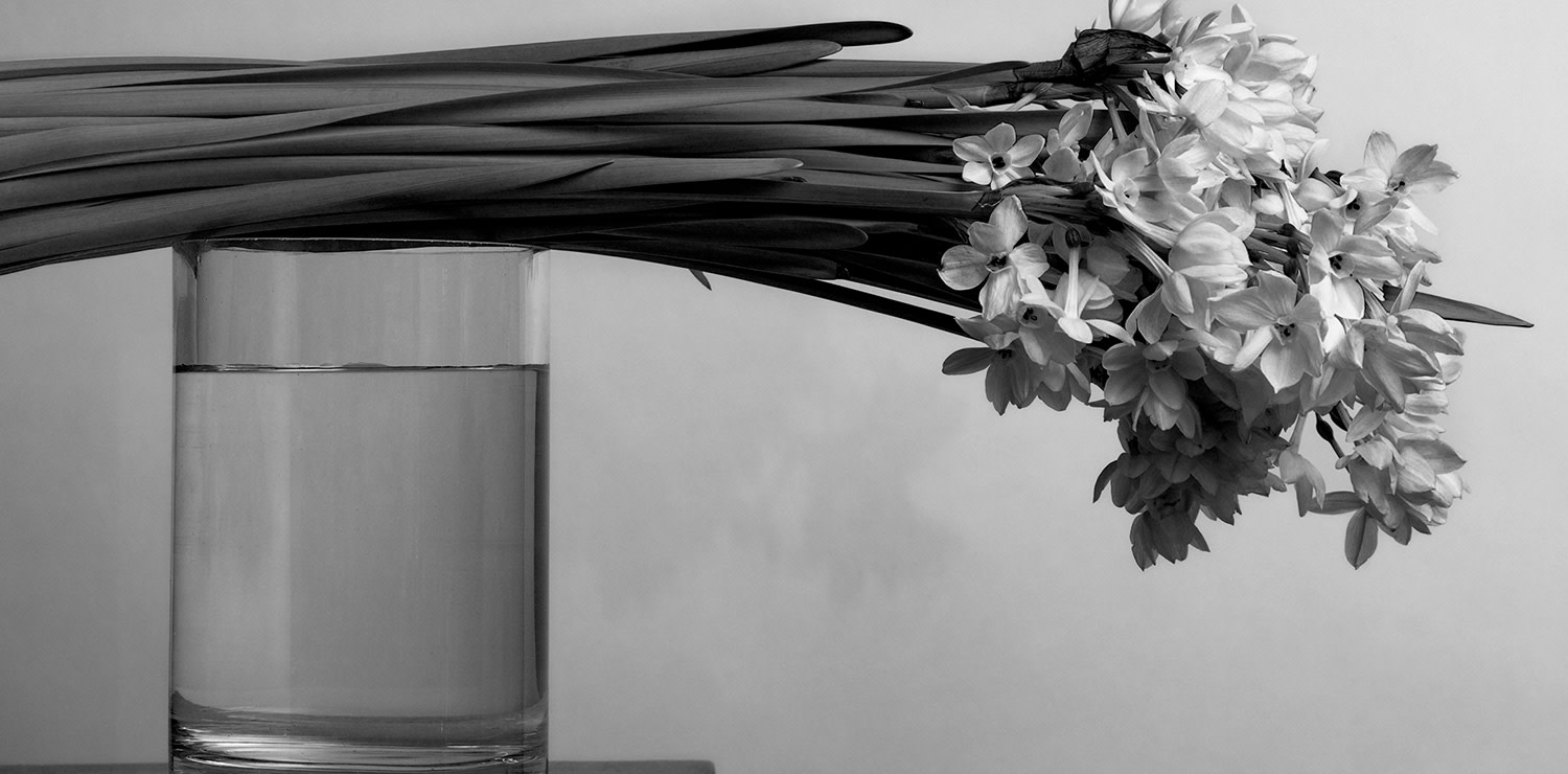Roberto Patella, Flowers with Vase 