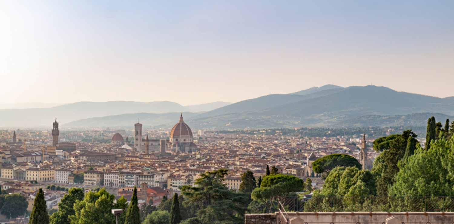 Florence seen from  the Abbey of San Miniato